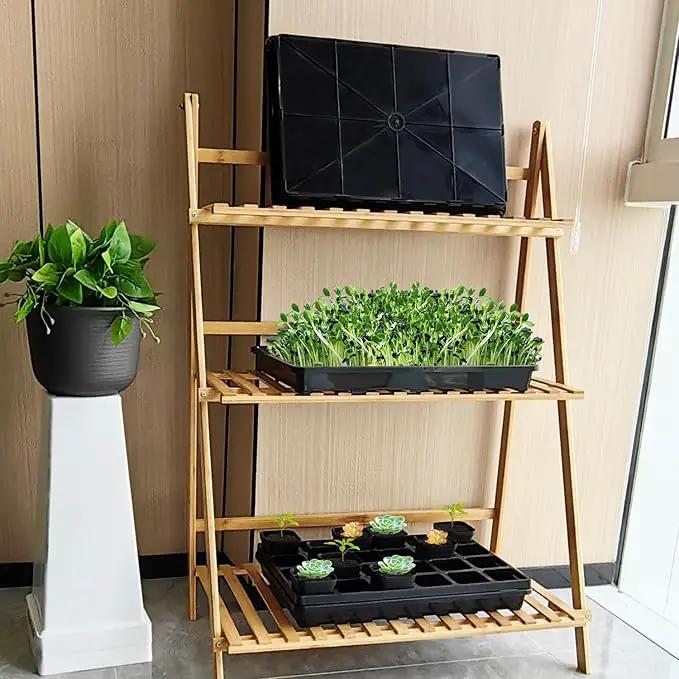 5 Pack Nursery Potting Tray, Carrying and Holding Plant Tray for Seeds Starting Pot, Collecting Drainage Water(Black) by GreenHaven Gardens