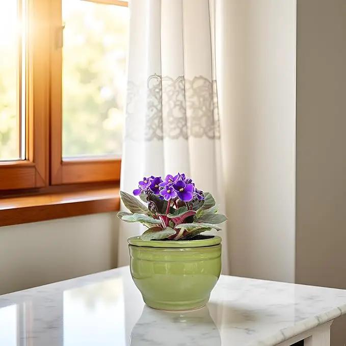 African Violet Pots Self Watering Round Ceramic Violet Pot (Green, 6 inch) by GreenHaven Gardens