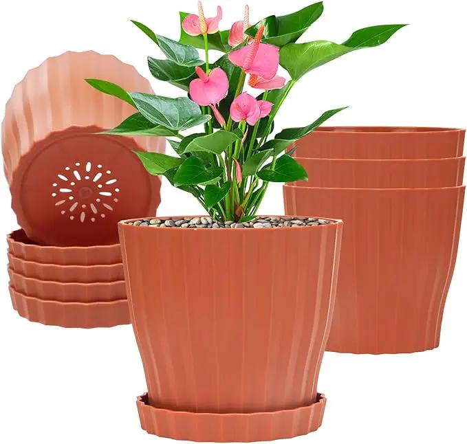 Plastic Flower Pots, 5 Pack 6 inch Indoor Plant Pots Planters for Outdoor Plants Flowers Garden Patio Home Nursery Decor Gifts,Large Succulent Pots with Drainage Tray Saucer & Hole Terracotta by GreenHaven Gardens