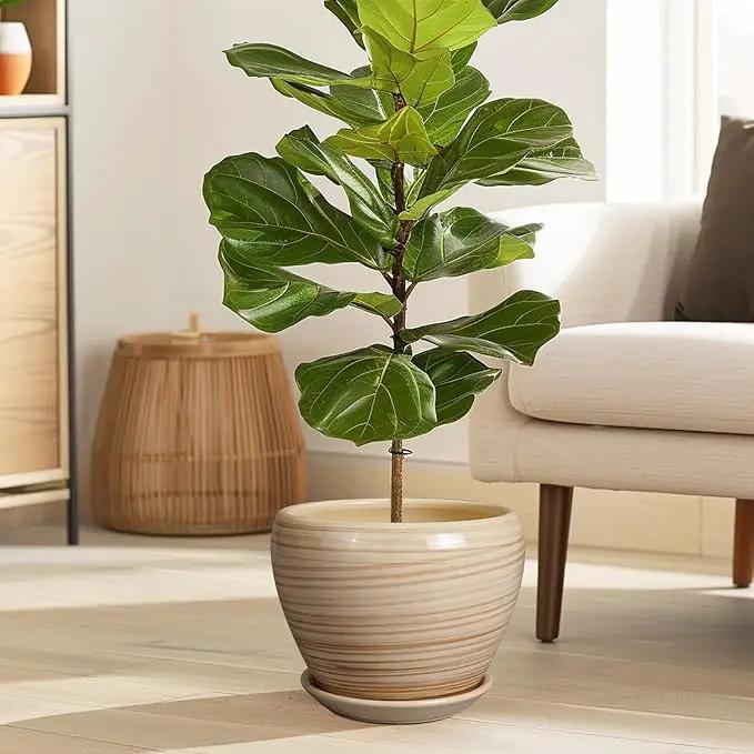 Planter Pot 8 Inch - Ceramic Pot for Plants Indoor Plant Pot with Drainage Hole and Saucer Round Planter Outdoor Modern Flower Pot Succulent Pot for House Patio Yellow by GreenHaven Gardens