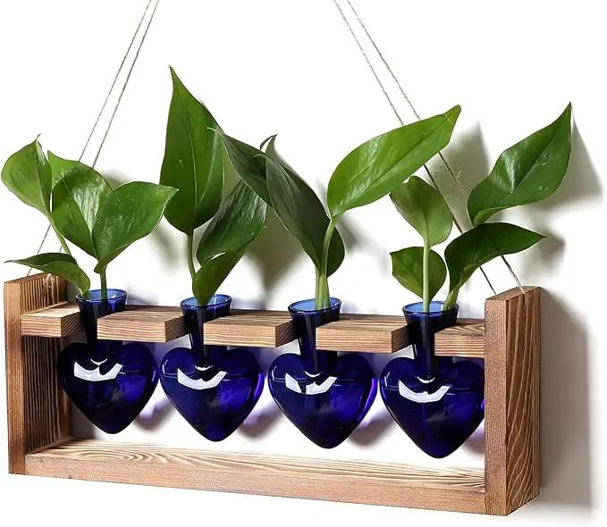 Plant Propagation Stations Heart Plant Terrarium Kit Gift for Women Plant Lover Glass Vases by GreenHaven Gardens