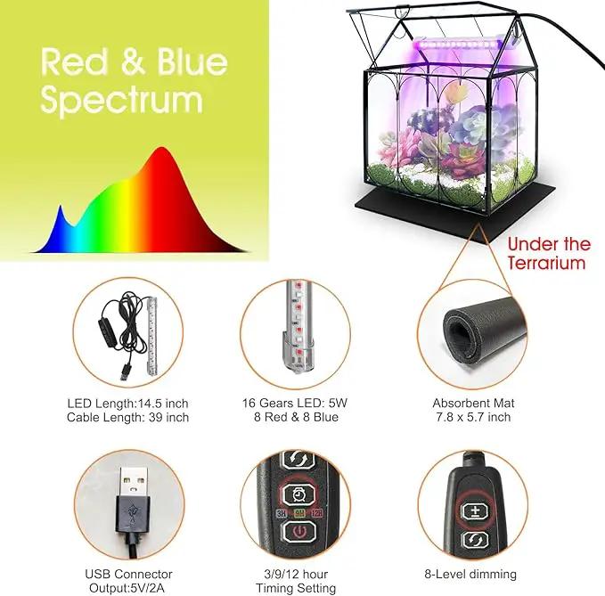 Plant Terrarium Kit with Grow Light, Rifny Large Glass Terrarium Jar with Absorbent Mat and Lid for Venus Fly Trap Succulent Live Air Plants Indoor Home Office Decor (Black, 8.9 x 5.9 x 9.9 inch) by GreenHaven Gardens