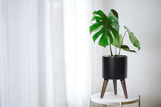 D'vine Dev 8 Inch Planter Pot with Stand, Mid-Century Tall Plant Pot with Legs for Indoor Plants, Small, Black, 88-O-A-2 by GreenHaven Gardens