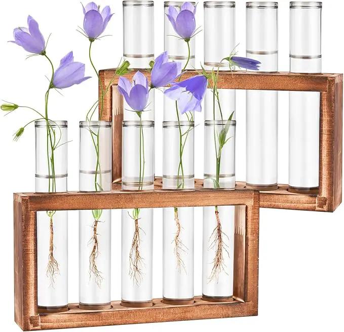 2pcs Desktop Glass Plant Propagation Station with 10 Test Tubes in Wooden Stand - Hydroponic Plants Cutting Office Home Decoration and Garden Decor Terrarium (10 Tubes) by GreenHaven Gardens