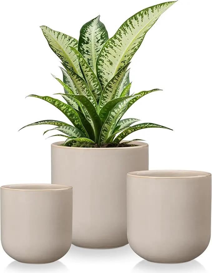 vancasso Ceramic Plant Pots, 4+5+6 inches, Set of 3, Planters with Drainage Hole, Flower Pots Planters Pots for Indoor Plants, Modern Indoor Decorative Garden Pot, Home Decor, Gray by GreenHaven Gardens