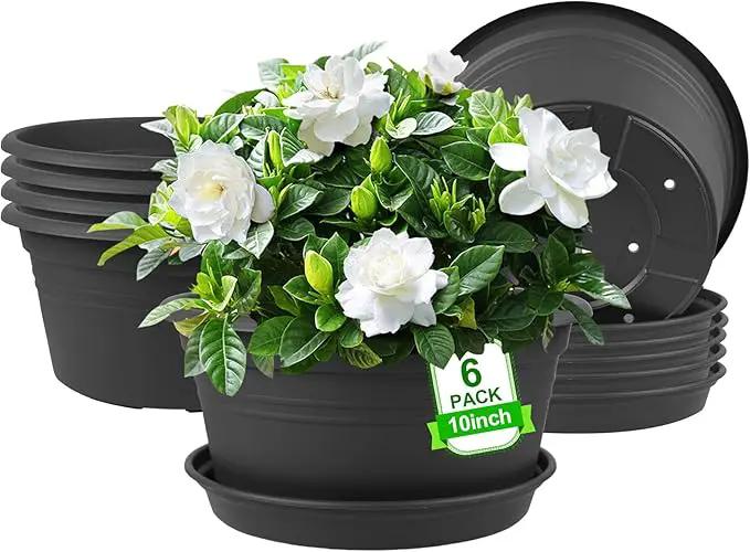 6 Pack 10 inch Plant Pot, Round Plastic Plant Pots, Outdoor Pots for Plants with Drainage Hole & Tray Saucer, Decoration Flower Pots for Indoor Plants Home Garden Outdoor Planters (Grey) by GreenHaven Gardens