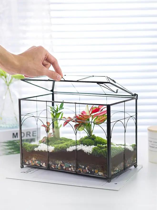 Handmade Glass Planter Terrarium with Lid, Indoor Tabletop Centerpiece Display Box Modern Decor DIY Gift Plant Terrarium Container for Succulent Cacti Air Plants Flower (Black) by GreenHaven Gardens