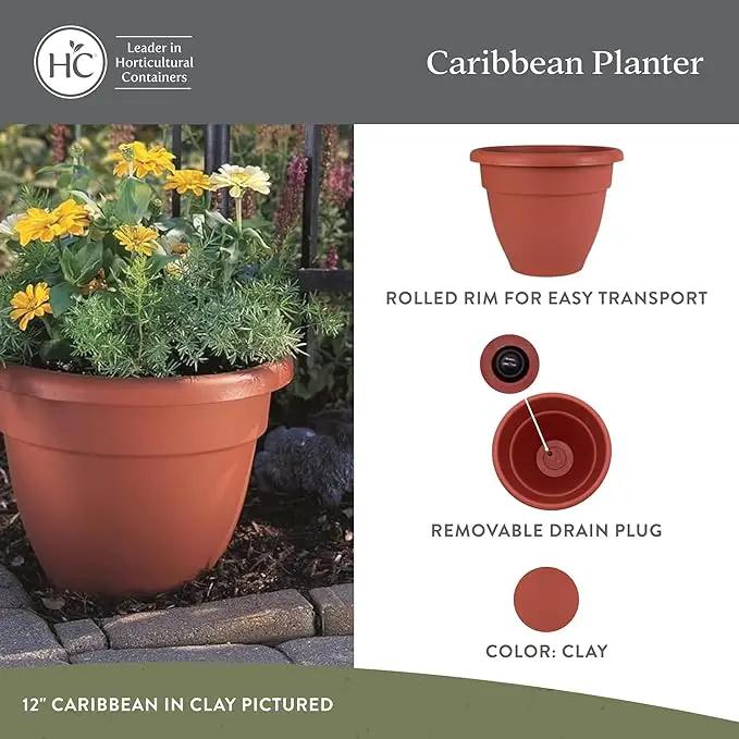The HC Companies Caribbean Planter Pot - Outdoor & Indoor Plant Pot with Drainage Hole & Plug - Rolled Rim Plastic Pots for Plants & Flowers - Decorative Plant Pot (10" Clay, Pack of 2) by GreenHaven Gardens