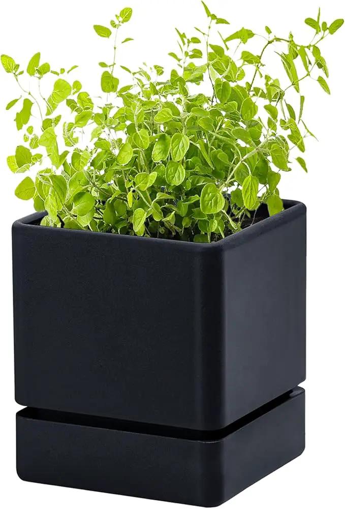 4 Inch Herb Planter Pot, Plastic Planter with Drainage Holes and Saucer, Modern Decorative Gardening Pot for Indoor Plants, Flowers, Herbs, Succulents, Black, Set of 1, 76-Y-B-1 by GreenHaven Gardens