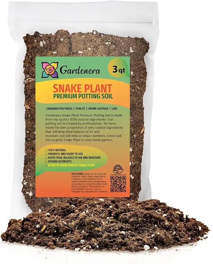 Premium Snake Plant Potting Soil Mix, Green Sansevieria Trifascatia Zeylanica Plants, Plant or Re-Pot Your Snake Plant - (3 Quart Bag) by GreenHaven Gardens