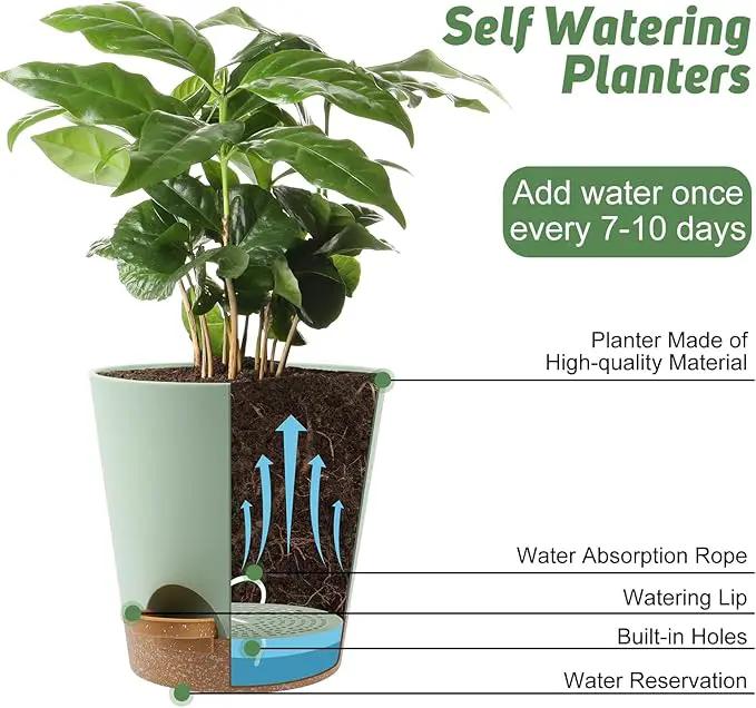 8-Inch Plant Pots, Self-Watering Planters with Drainage Holes & Saucers for Indoor and Outdoor Plants (2-Pack, Green) by GreenHaven Gardens