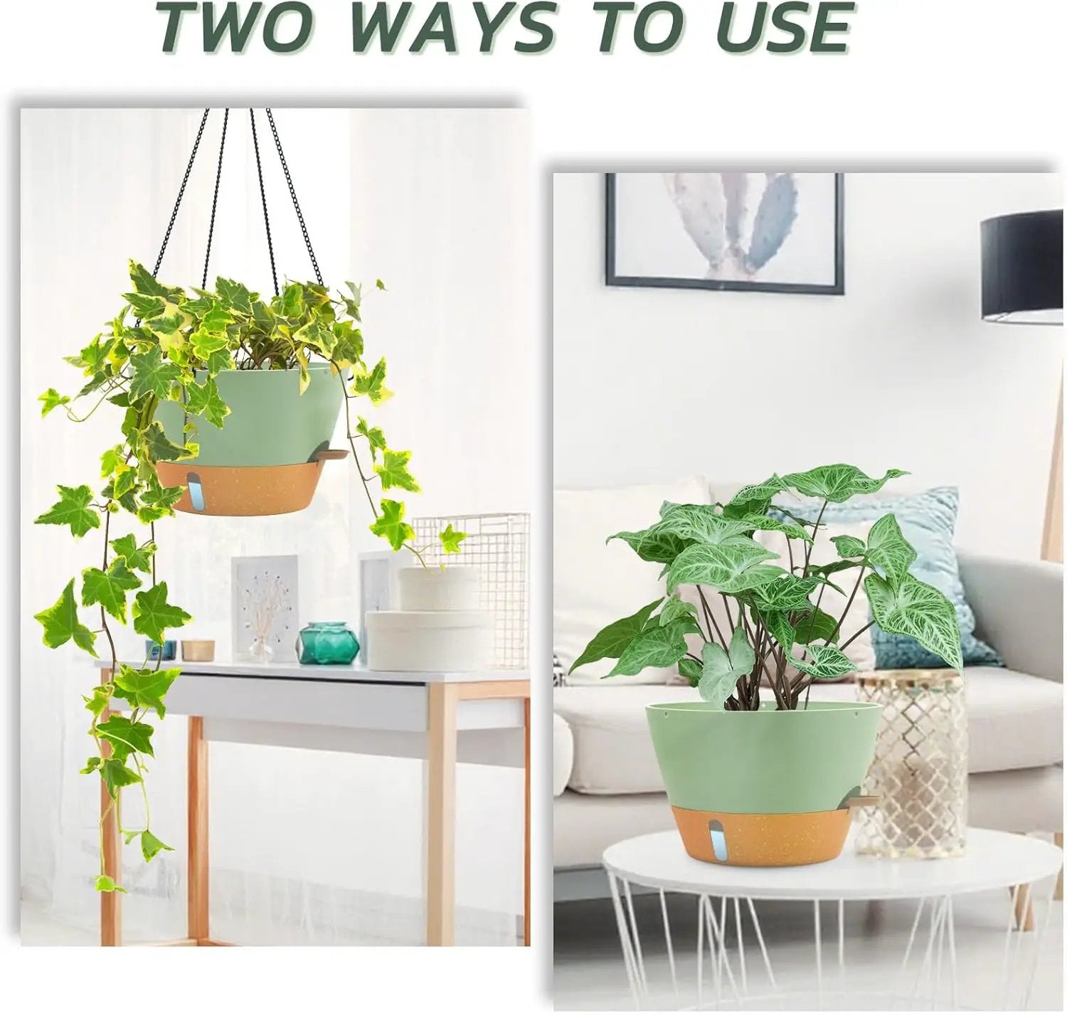 ZMTECH 12 Inch Large Hanging planters for Indoor, 2 Pack Self Watering Plant Pot for Outdoor Garden Porch, Hanging Flower Pot with Visible Water Level & Removable Tray(12Inch, Green) by GreenHaven Gardens