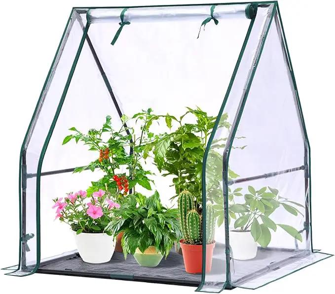 Mini Greenhouse for Indoor Outdoor: Ohuhu Tabletop Portable Green House with Waterproof Pad for Small Plants Nursery Germination, 36"x36"x42" Light Duty Cover Tent Humidity Dome Seedling Accessory by GreenHaven Gardens
