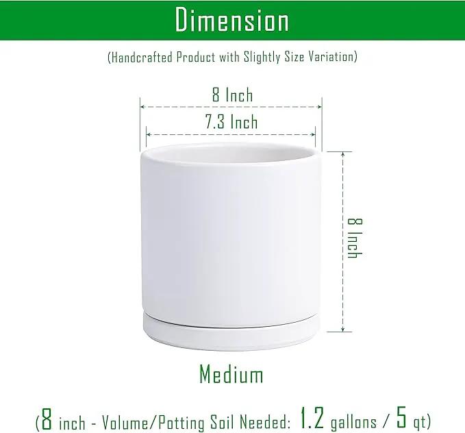 D'vine Dev Set of 2 Plants Pots, 8 Inch Ceramic Planter Pot for Plants with Drainage Hole and Saucer, White, 94-V-D-1 by GreenHaven Gardens