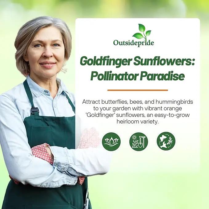 Outsidepride Goldfinger Mexican Sunflower Seeds - 1000 Pcs Annual, Easy-to-Grow, Orange Tithonia Speciosa Flower Seeds w/Drought-Tolerant Blooms for Pollinator Gardens & Vibrant Summer Landscaping by GreenHaven Gardens
