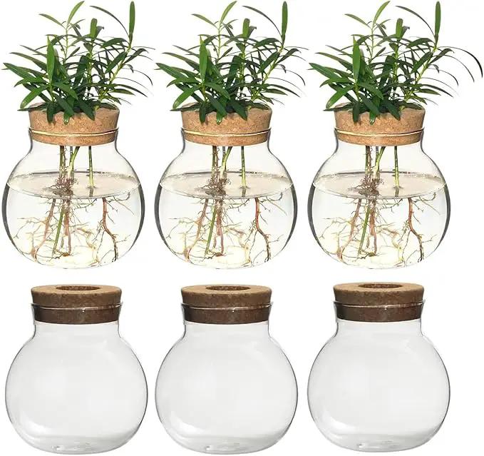 Plant Propagation Station,Hydroponic Terrarium Vase,Desktop Glass Planter Station,for Houses,Garden Decorations,ropagating Hydroponic Plants,Centerpiece Office,Home Garden Decor (6) by GreenHaven Gardens