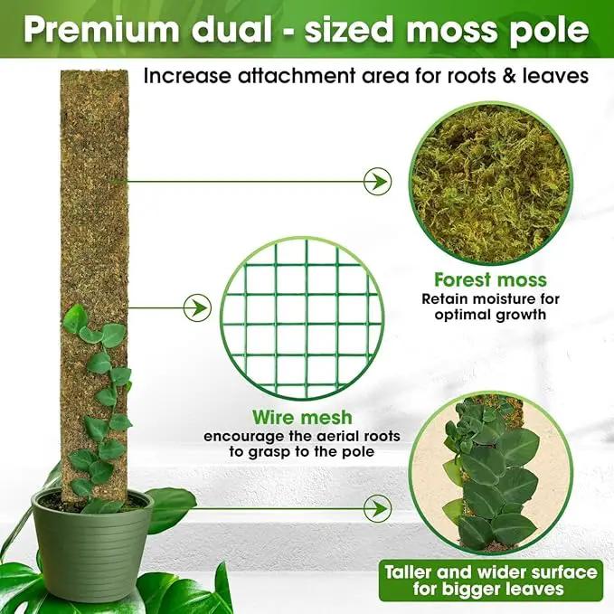 DUSPRO 59’’ Flat Mesh Moss Poles for Climbing Plants Monstera Flat Stacks for Tall Plant with Real Moss Moss Pole for Indoor Plants Plant Stick Support Tall Indoor Plants Support Stakes (1pc., 59'') by GreenHaven Gardens