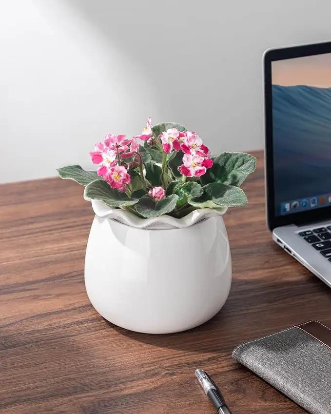 Self Watering Plant Pot, 6 Inch African Violet Pots Maintenance, Ceramic Self-Watering Planter for Indoor Plants - Ideal Flower Pot for Thriving Indoor Gardens by GreenHaven Gardens