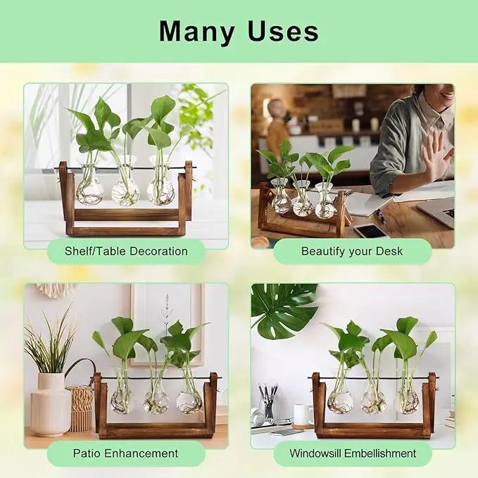 YIBOT Propagation Stations,Plant Terrarium with Retro Wooden Stand, Unique Gardening Birthday Gifts for Women Plant Lovers, Hydroponics Plants Home Office Garden Decor - 3 Bulb Glass Vases by GreenHaven Gardens