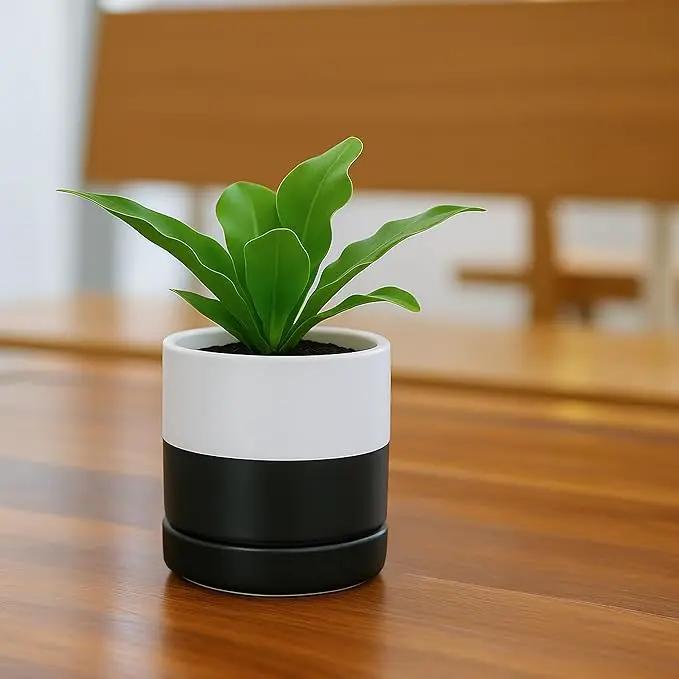 D'vine Dev 3.5 Inch Ceramic Planter Pot with Drainage Hole and Saucer, Indoor Cylinder Round Planter Pot, Layered Monochrome Black & White, 94-O-A-L by GreenHaven Gardens