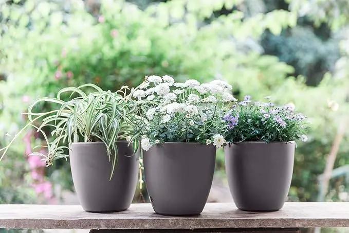 GARDENIX DECOR 7'' Self Watering planters for Indoor Plants - with Water Level Indicator for Flower Pot , Grow Tracking Tool - Coco Coir - Gray 3 Pack by GreenHaven Gardens