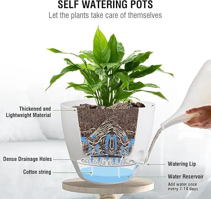 10 inch Self Watering Hanging Planters, 2 Pack Hanging Flower Pots for Indoor Outdoor Plants, Hanging Baskets with Drainage Holes & 2 Kinds of Plant Hangers for Garden Home Decor, White by GreenHaven Gardens