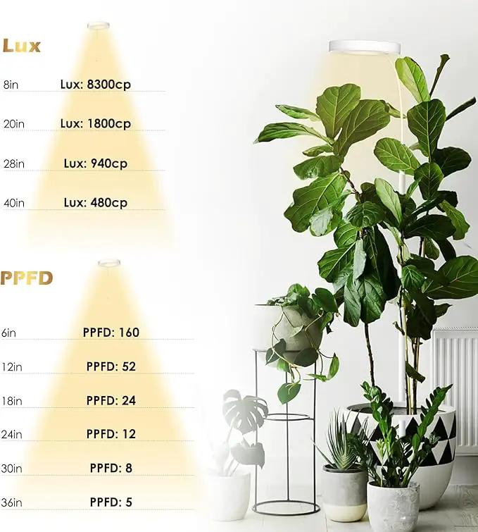 GLOWRIUM Grow Lights for Indoor Plants, 20W Full Spectrum LED Grow Light Floor Lamp with Stand Adjustable Height and Angle, Black Plant Light with 3/9/12H Timer White by GreenHaven Gardens