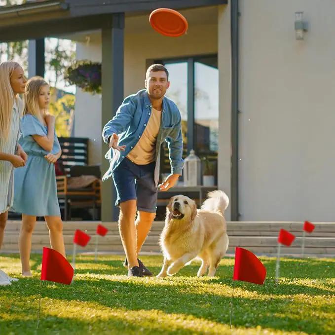 Zozen 50Pack Red Marking Flags, Writable/15x4x5 Inch, Yard Flags for Lawn & Irrigation & Landscape & Sprinkler & Survey & Dog Training. by GreenHaven Gardens