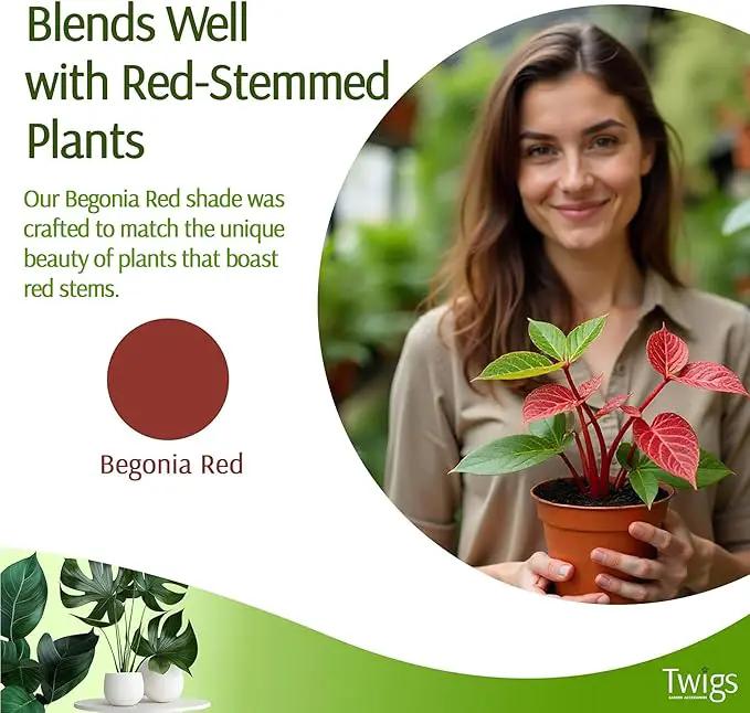 Twigs - Plant Support Stakes for Indoor, Outdoor & Climbing Plants, Gardening Supplies, Garden Accessories, Trellis & Ring Alternative, Made in USA - Begonia (Red), 10 Pack, 12" L, Mini Twigs by GreenHaven Gardens