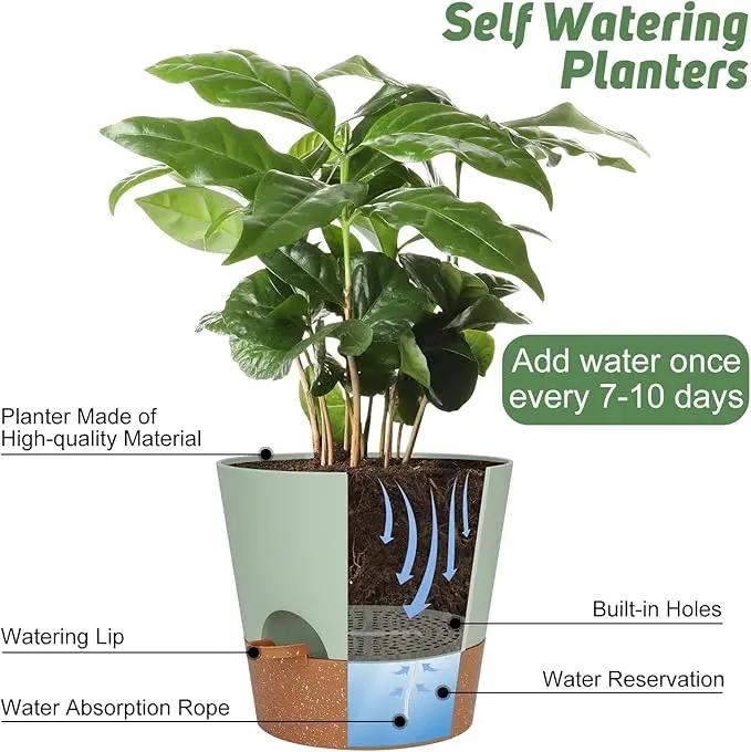 10-Inch Plant Pots, Self-Watering Planters with Drainage Holes & Saucers for Indoor and Outdoor Plants (2-Pack, Green) by GreenHaven Gardens
