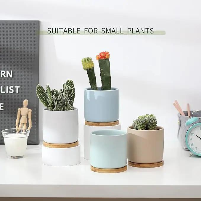 OMAYKEY Succulent Pots, 4 Inch Ceramic Planter Plant Pot with Tray, Drainage Hole & Mesh Pad for Indoor Flowers, Cactus, Herbs, Aloes - Cool Multicolor, Set of 4 (Plant Not Included) by GreenHaven Gardens