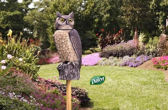Dalen SOL-R Action Solar Fake Owl Decoy to Scare Birds Away from Gardens, Rooftops, and Patios - Safe and Humane, 18" 360º Rotating Head by GreenHaven Gardens