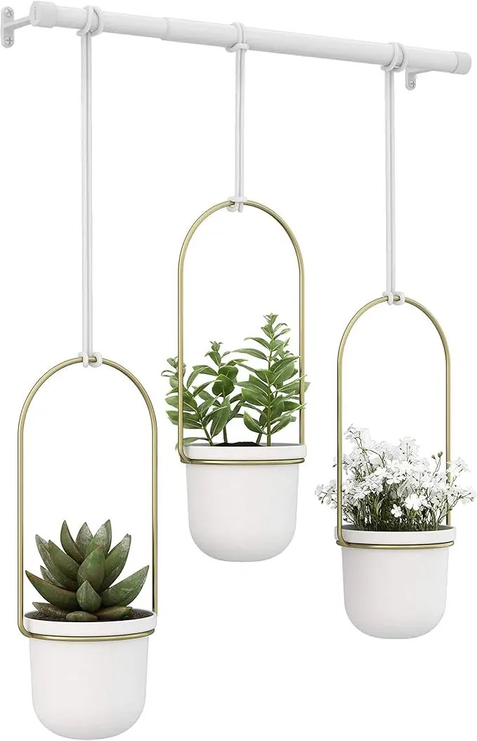 Umbra Triflora Hanging Planter for Window, Indoor Herb Garden, Set of 3, White/Brass by GreenHaven Gardens