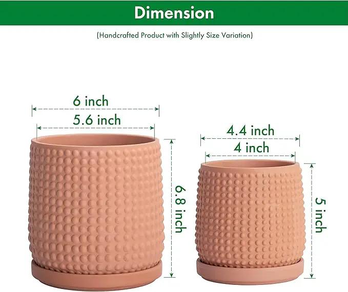 D'vine Dev 6 Inch 4 Inch Terracotta Indoor Planter Pots with Drainage Hole and Saucer, Beaded Design Flower Pots, Set of 2, Terracotta Color, 27-D-U-7 by GreenHaven Gardens