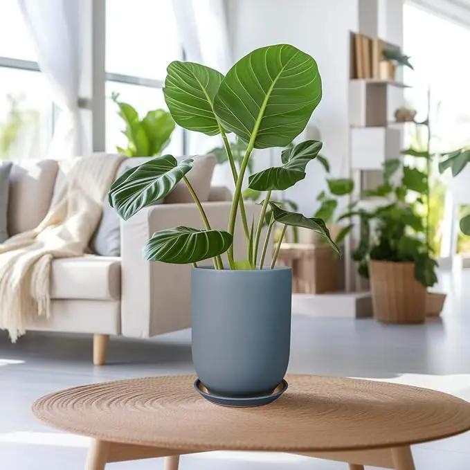 Ceramic Pot for Plants - 8 Inch Plant Pot for Indoor Plants Outdoor Ceramic Planter Large Flower Pot with Drainage Hole and Saucer for Home Garden Decor Gray by GreenHaven Gardens