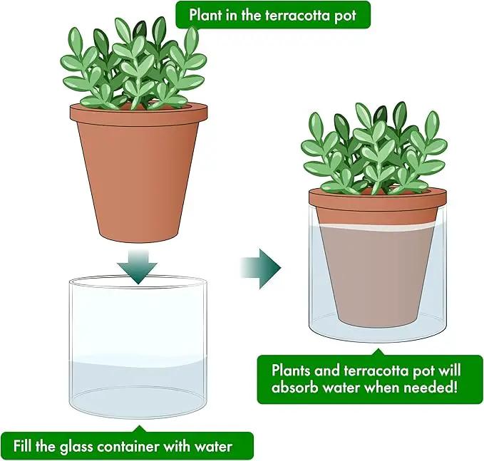 D'vine Dev 4 Inch Design Self Watering Pot for Indoor Plants, Terracotta Planter with Cylinder Glass Cup, Set of 4, 37-Z-A-1-F by GreenHaven Gardens