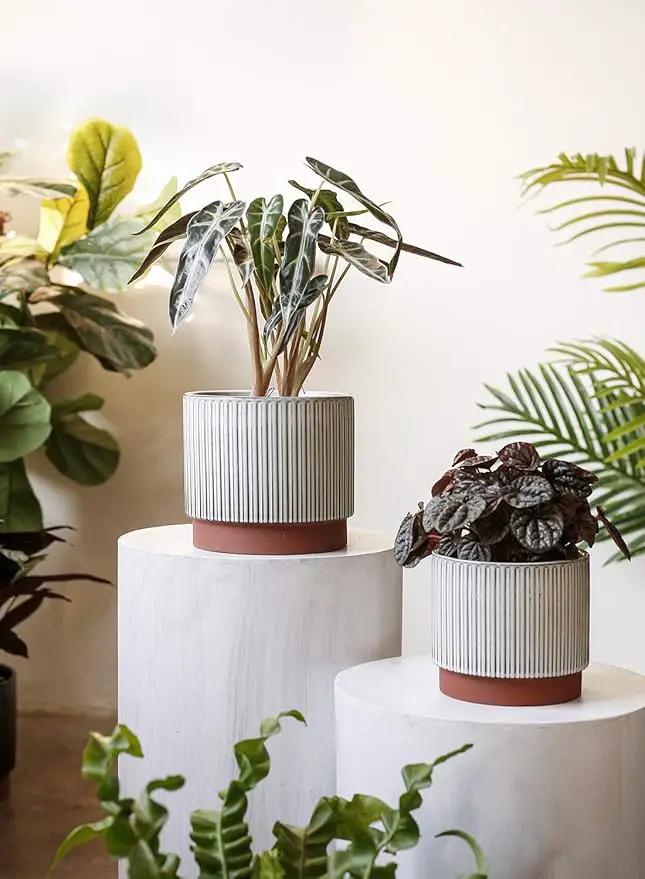 LE TAUCI Ceramic Plant Pots with Drainage Holes, Set of 3, 8+6.7+5.5 Inch Stripe Garden Planter Pots for Outdoor Indoor Plants Flower, Round Succulent Orchid Flower Pot, Reactive Glaze White by GreenHaven Gardens