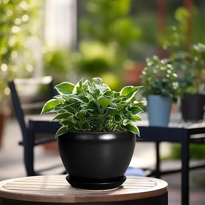 Ceramic Planter Pot - 6 Inch Plant Pot with Drainage Hole and Saucer Round Planter for Indoor Plants Outdoor Succulent Pot Modern Flower Pot for Home Decor Black by GreenHaven Gardens