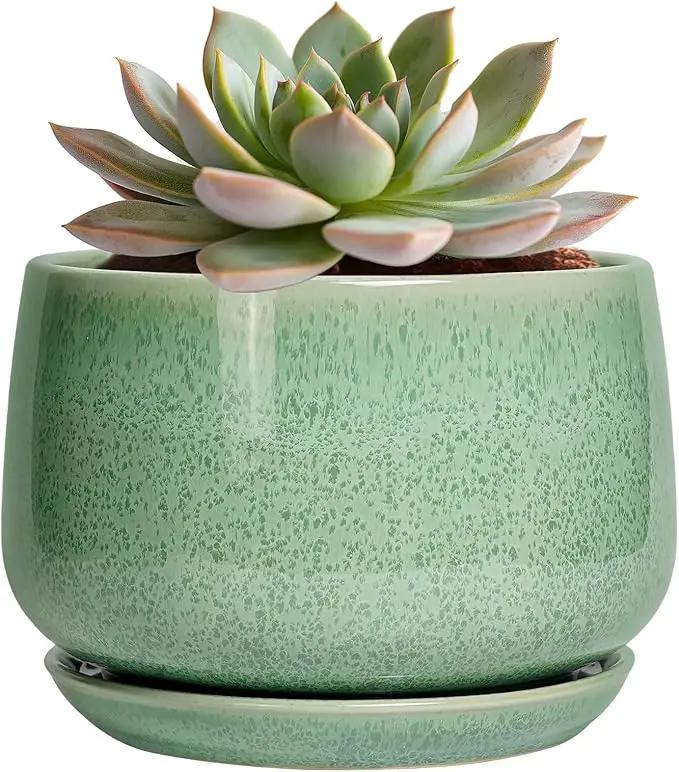G EPGardening Ceramic Pots for Plants - 6 Inch Plant Pot with Drainage Hole and Saucer, Modern Ceramic Planter for Indoor Outdoor, Round Flower Planter, Gifts for Plants Lovers, Home Decor, Green by GreenHaven Gardens