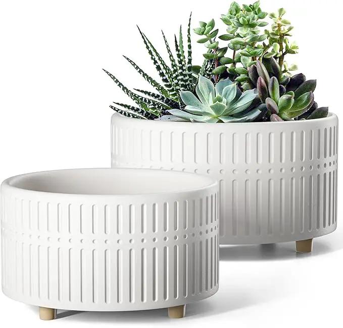 LE TAUCI Succulent Pots, 6.5+8 Inch Ceramic Indoor Plant Pot with Drainage Hole, Modern Round Decorative Flower Pot, Set of 2, Matte White by GreenHaven Gardens