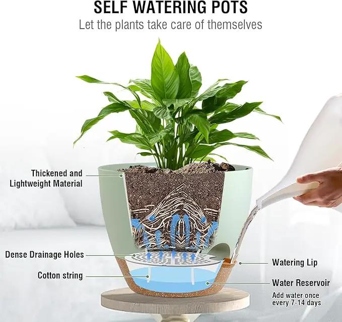 10 inch Self Watering Hanging Planters for Indoor Plants, 2 Pack Hanging Baskets for Outdoor Plants, Hanging Flower Pots with Drainage Holes & 2 Kinds of Plant Hangers for Home Decor, Green by GreenHaven Gardens