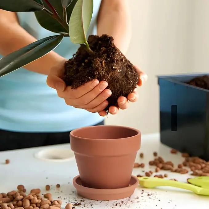 6 PCS Clay pots and Plates, 5-inch red Clay pots with Drainage, Perfect for Indoor, windowsill, and Garden Plants by GreenHaven Gardens
