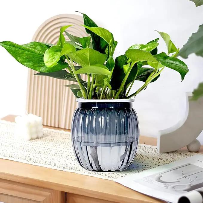 Small Hanging Planters Self Watering 5 Inch, 3 Set Hanging Plant Pot for Indoor Outdoor Plants, Hanging Flower Pots with Drainage Hole & 2 Kinds of Plant Hangers for Garden Home Decor by GreenHaven Gardens
