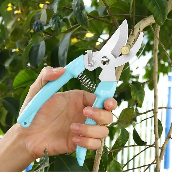 Premium Garden Shears, Pruning Scissors Gardening Tools, Pruners For Flower, Bushes, Rose And Fruit Tree, Use For Florist, Yard And Orchard the Plant Clippers, Sharp White Steel Anvil Snips by GreenHaven Gardens