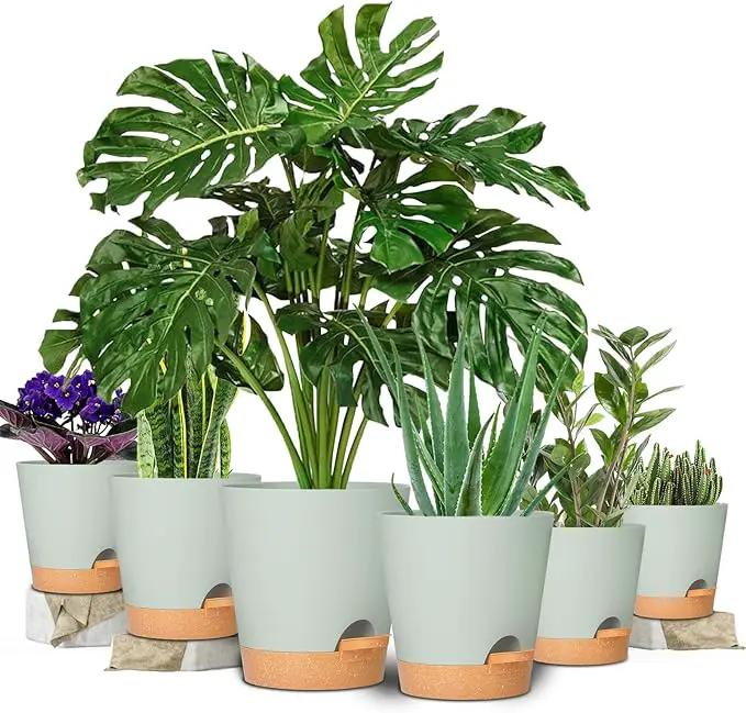 GARDIFE Plant Pots 8/7/6.5/6/5.5/5 Inch Self Watering Planters with Drainage Hole, Plastic Flower Pots, Nursery Planting Pot for All House Plants, African Violet, Flowers, and Cactus,Green by GreenHaven Gardens
