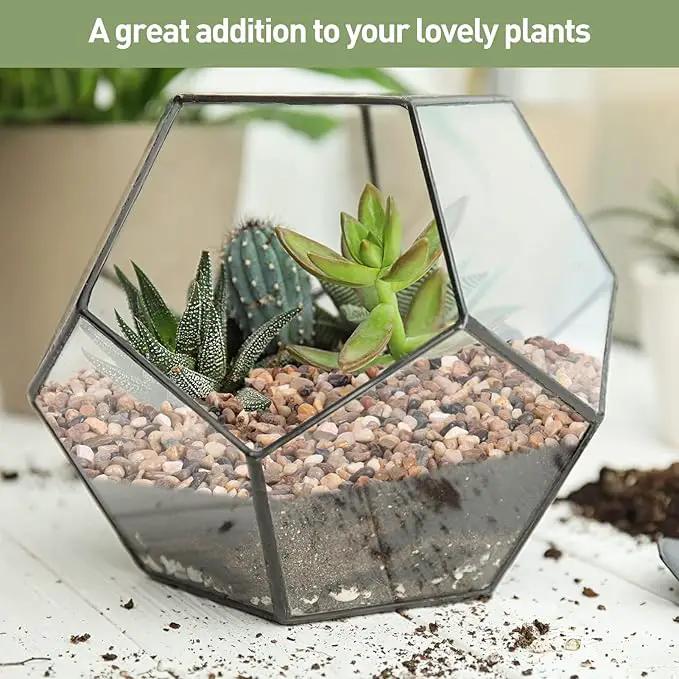 GASPRO Drainage Pebbles for Indoor Plants, 1/5 Inch Small Rocks for Potted Plants, Decorative Pebbles for Succulent, Cactus, Crafts, Bamboo, Pea Gravel for Landscaping, Aquarium, Fish Tank, 5lbs by GreenHaven Gardens