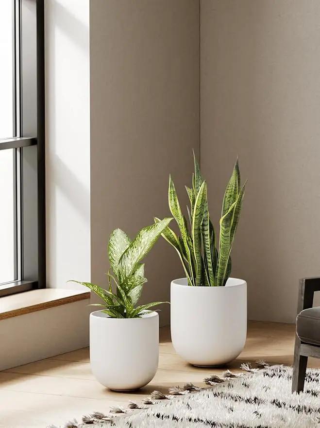LE TAUCI 6+8+10 Inch Ceramic Pots for Plants, Plant Pots Indoor with Drainage Hole and Plug, Planter Pots for Home Office Room Patio, Set of 3, White by GreenHaven Gardens