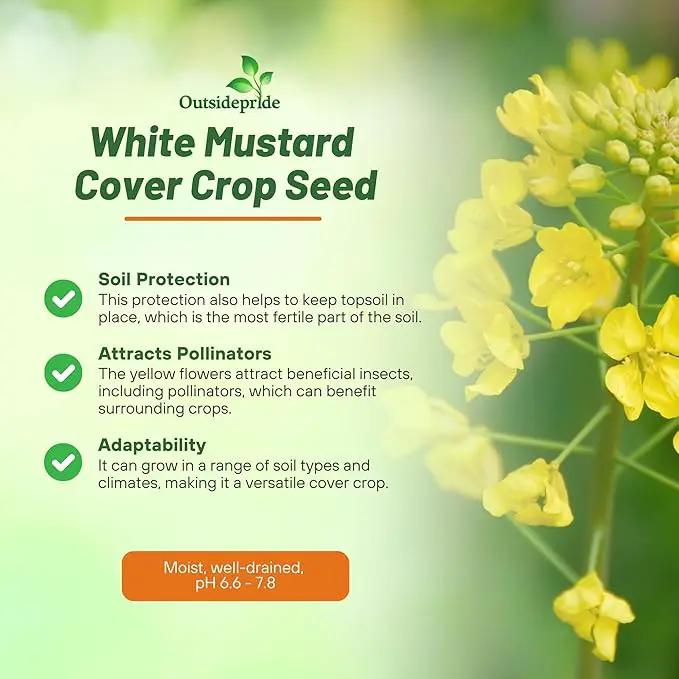 Outsidepride White Mustard Seeds for Planting - 10 lb Annual Cover Crop Seeds w/Deep Root System, High Protein Forage, Ideal for Soil Fertility, Crop Rotations, & Livestock Nutrition by GreenHaven Gardens