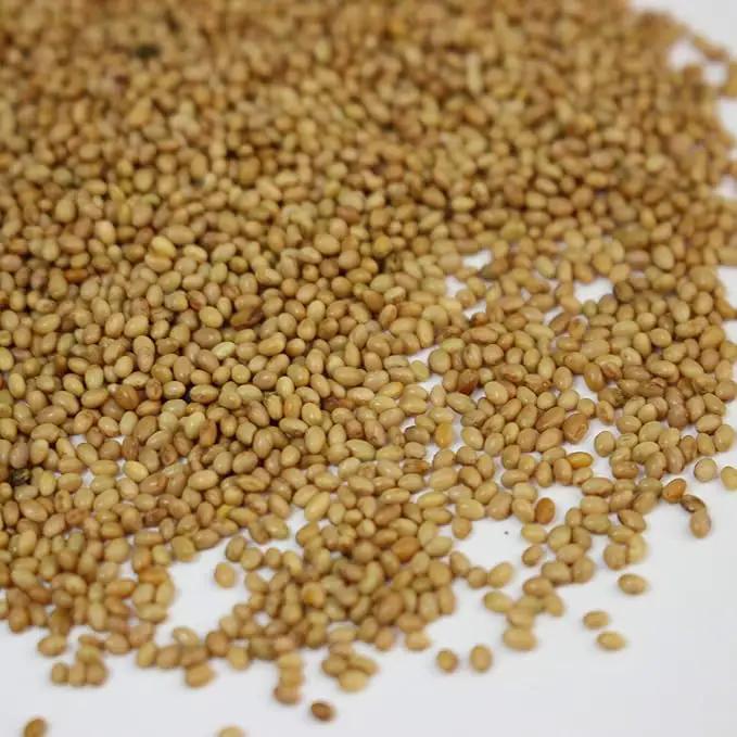 Crimson Clover Seeds (Coated) - 1 oz - Garden Cover Crop, Non-GMO, Open Pollinated, Perennial, Heirloom - Coated for Easy Planting by GreenHaven Gardens