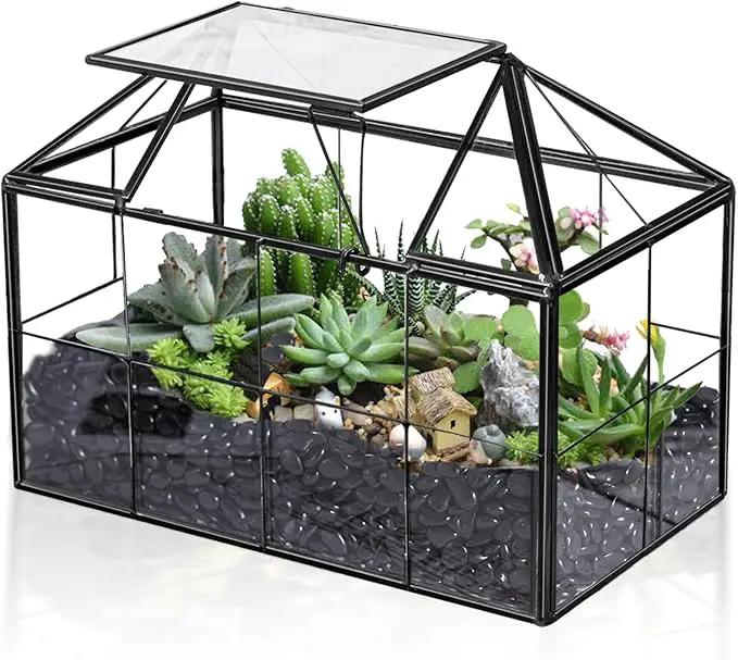 Ferrisland Glass Terrarium Greenhouse House Shape Display Box Planter for Succulents Plant Terrarium Container Mordern Tabletop Decor Gardern DIY Kit by GreenHaven Gardens